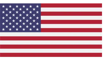 the american flag