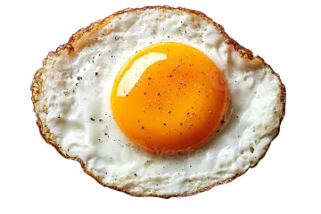 a fried egg on a toasted piece of bread