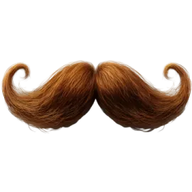 a pair of mustaches on a white background