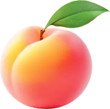 a peach with a leaf on it