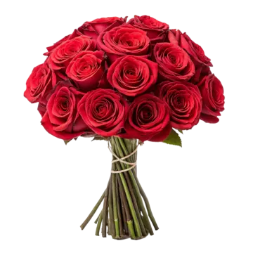 a bouquet of red roses
