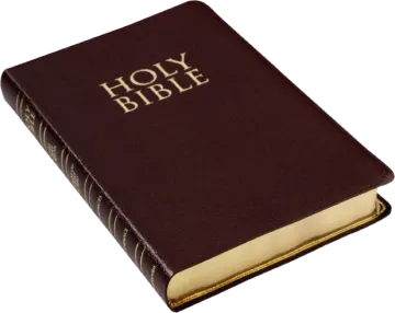 a bible with the word, holy bible
