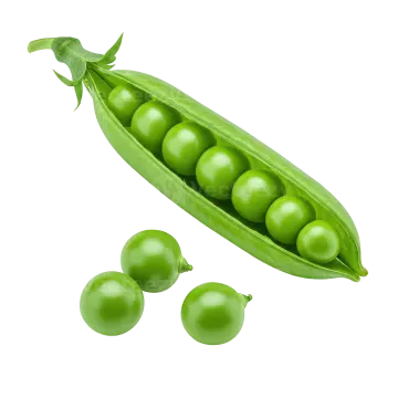 green peas on a white background