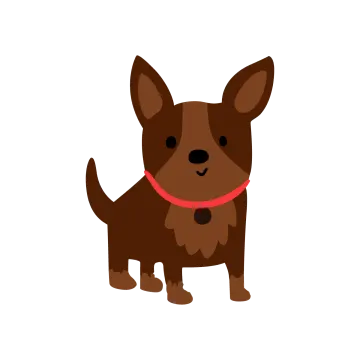 a brown dog with a red collar