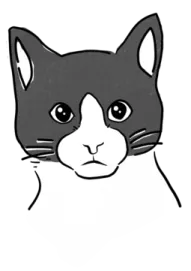 a black and white drawing of a cat