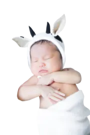 a baby wrapped up in a unicorn costume