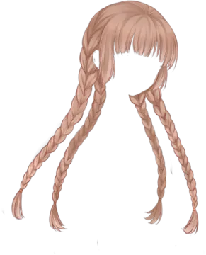 a drawing of a girl with long hair and braids
