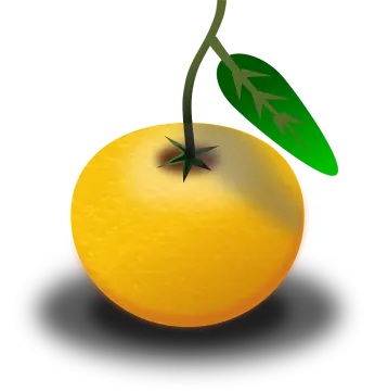 an orange with a green leaf on it