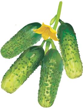 a green plant with yellow flowers on it