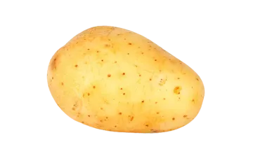 a potato on a white background