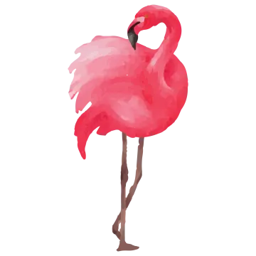 an illustration of a pink flaming