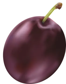 a plum with a green stem on it