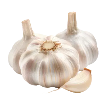 two garlic bulbs on a white background