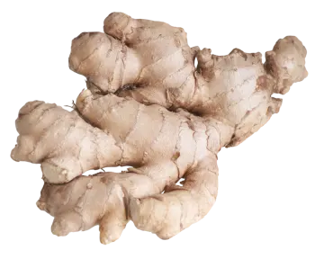 a pile of ginger root on a white background