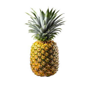 a pineapple on a white background