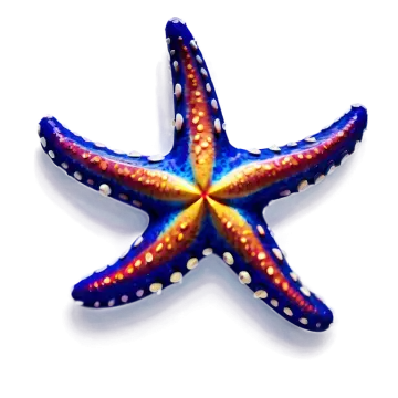 a colorful starfish on a white background