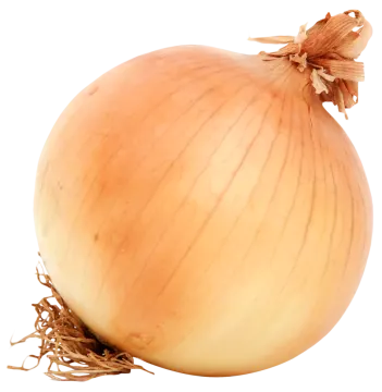 a close up of an onion on a white background