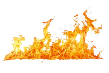 fire on a white background
