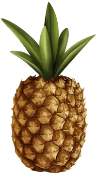 a close up of a pineapple