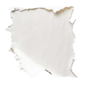 a piece of torn paper on a white background