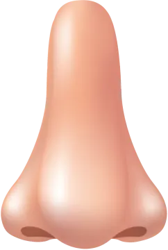 an illustration of a bell