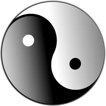 A black and white yin symbol