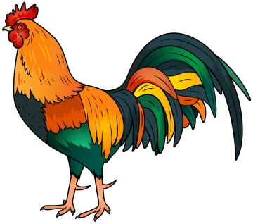 a colorful rooster standing on its hinds