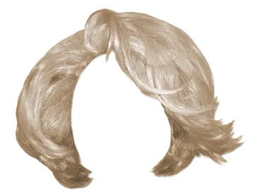 a drawing of a woman's hair