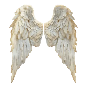 two white wings on a white background