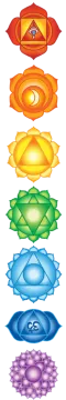 a set of seven chakras on a white background