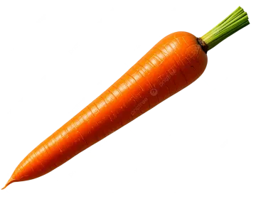 a single carrot on a white background