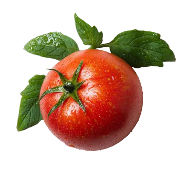 a red tomato with green leaves on it