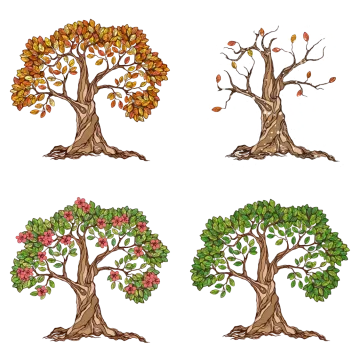 four trees with leaves and flowers