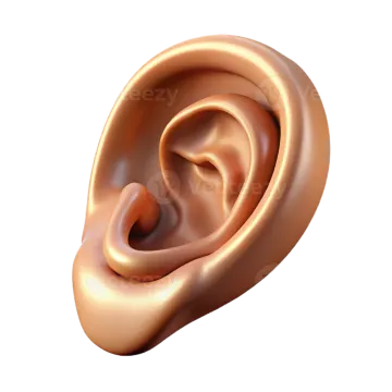 a close up view of the inside of an ear