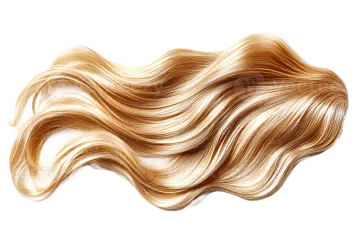 a woman's long blonde hair on white background