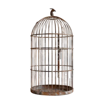 an old bird cage on a white background