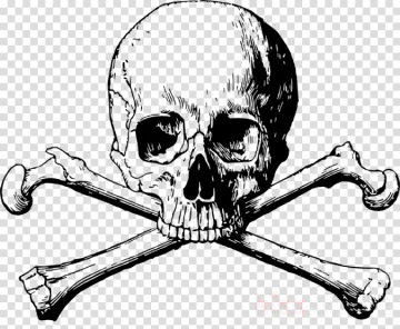 a skull and crossbones on a transparent background