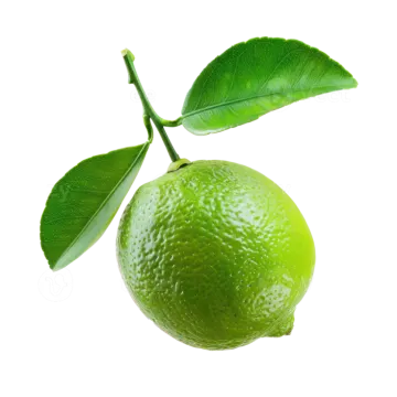 a lime with green leaves on a white background