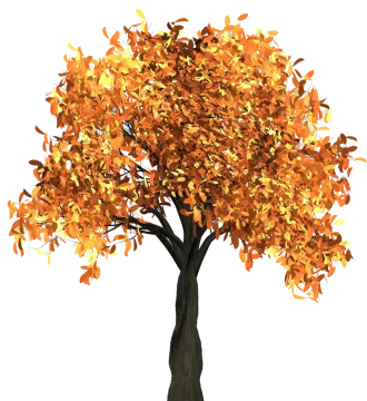 a tree with orange leaves on it