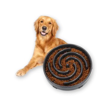a dog laying next to a bowl of food