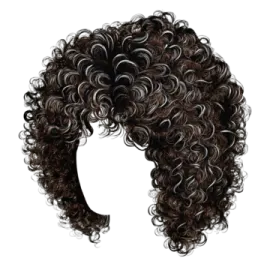 a drawing of a woman's hair