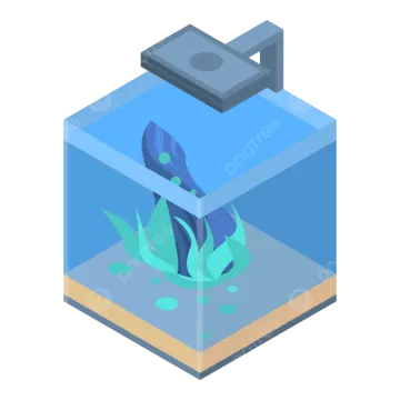 an aquarium with a fish in it
