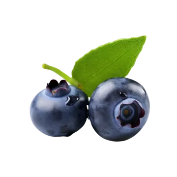 two blueberries with green leaves on a white background