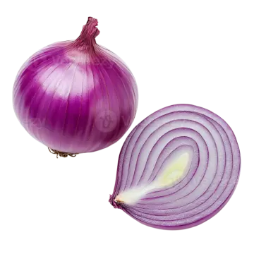 an onion and a sliced onion on a white background