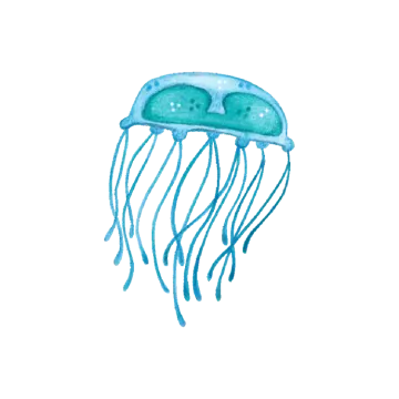 a watercolor drawing of a jellyfish