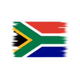 the south african flag