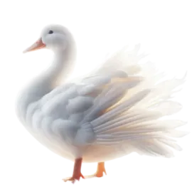 a white duck with its wings spread out
