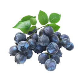 a bunch of blueberries with leaves