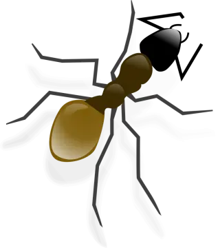 a mosquito insect with brown and black spots