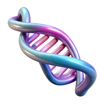 a 3d model of a dna molecule